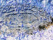 Ice pattern