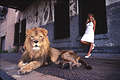 Lion and warehouse
