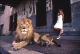 Lion and Warehouse, New Jersey