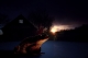 Toad in the road. Mayfield, East Sussex