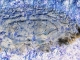 Pattern in the ice